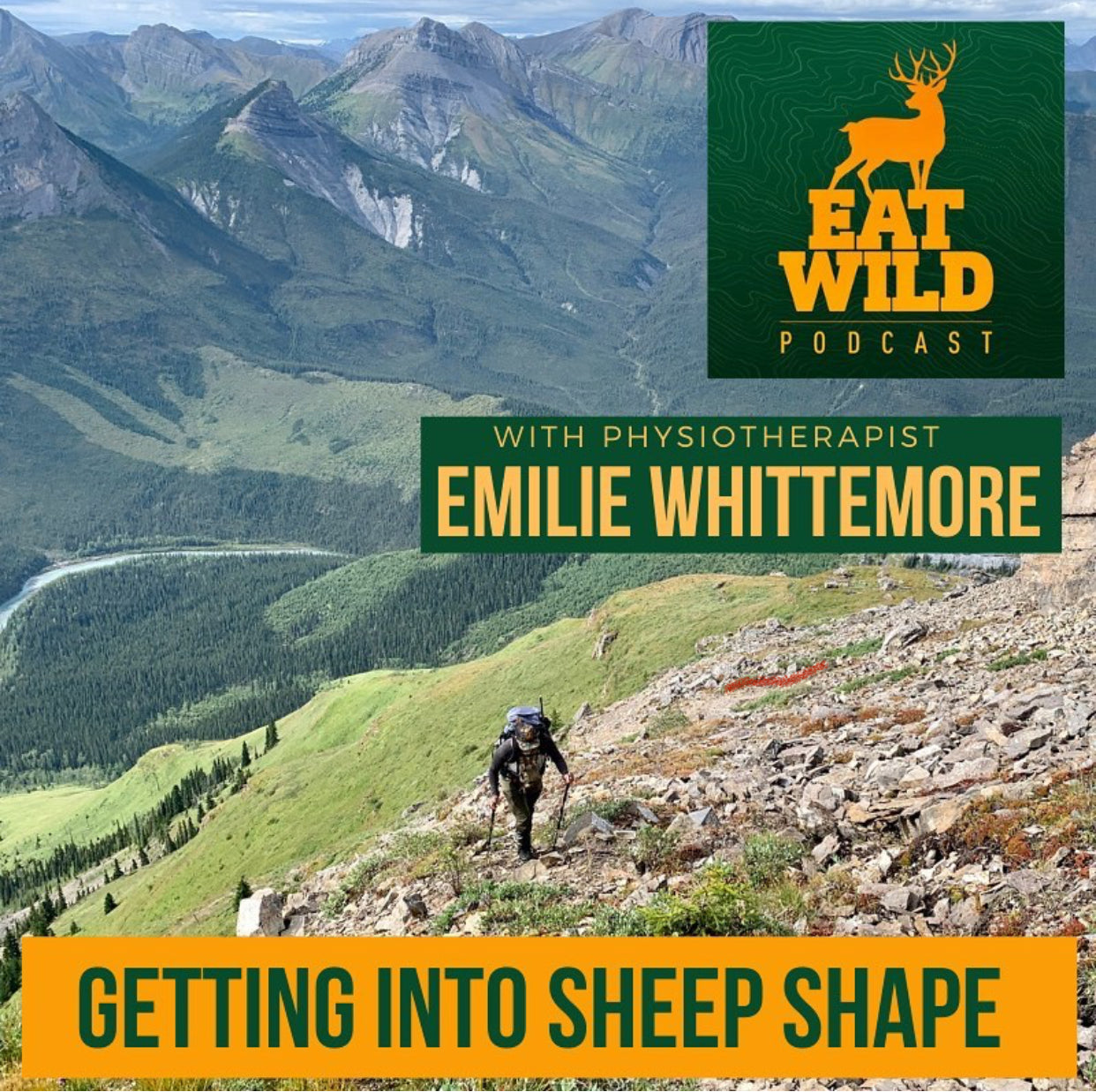 EatWild 53 - Getting into Sheep Shape