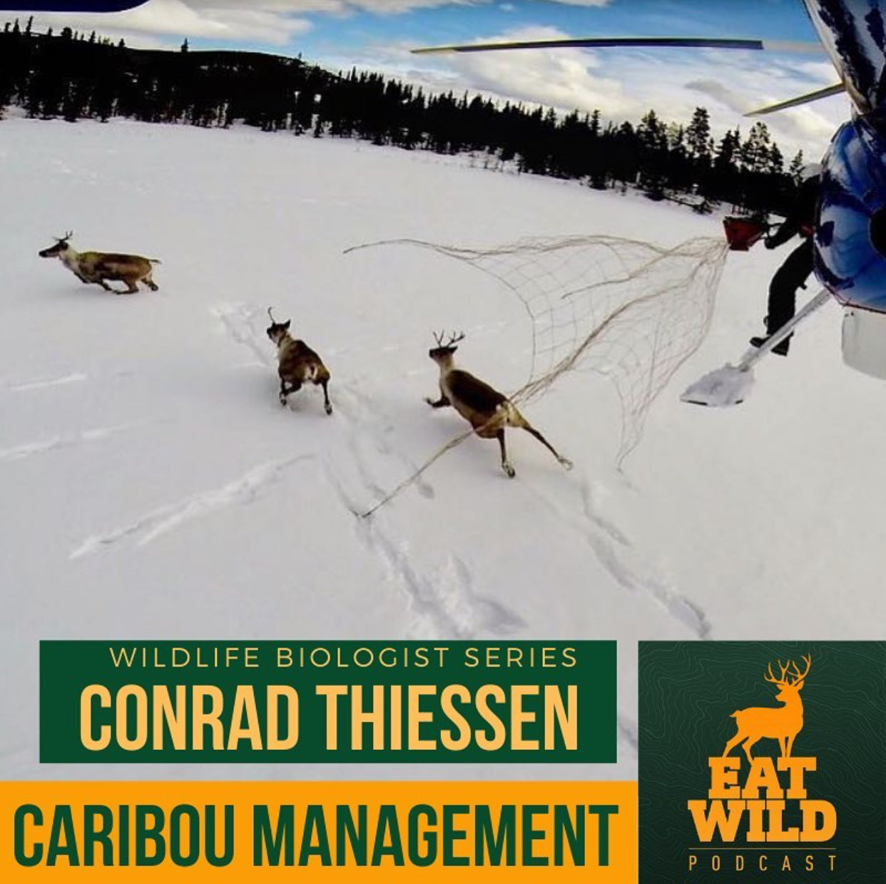 EatWild 54 - Caribou Management with Biologist Conrad Thiessen