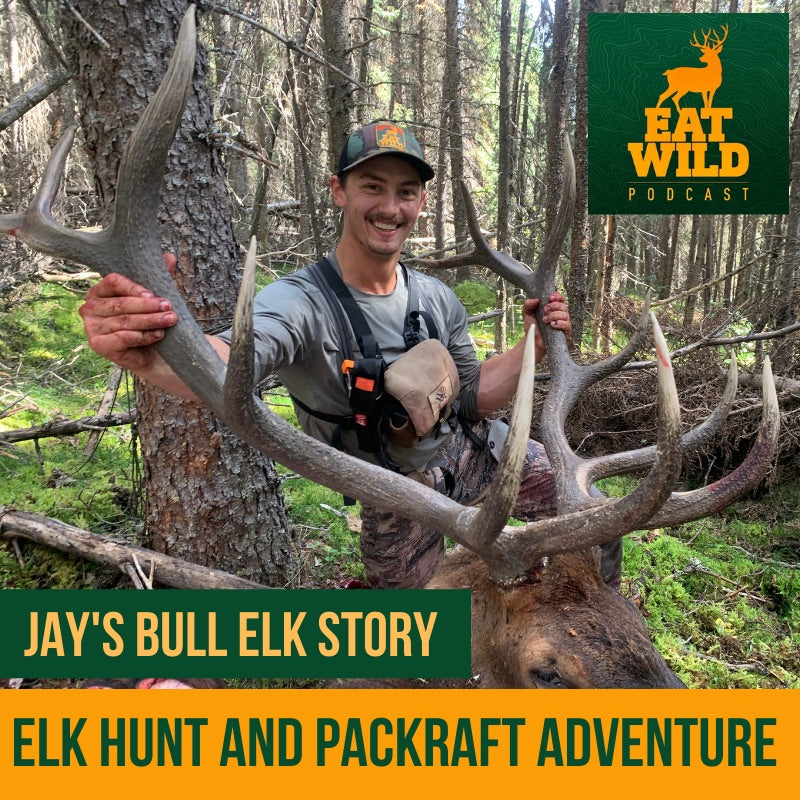 EatWild 61 - Jay‘s Bull Elk Story - An Elk Hunt and Packraft Adventure