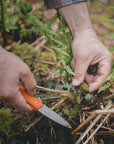 Forage and Feast Workshop