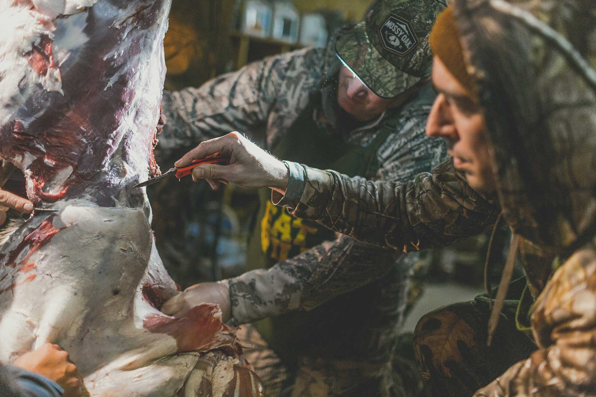 Hunter Field Skills Workshop