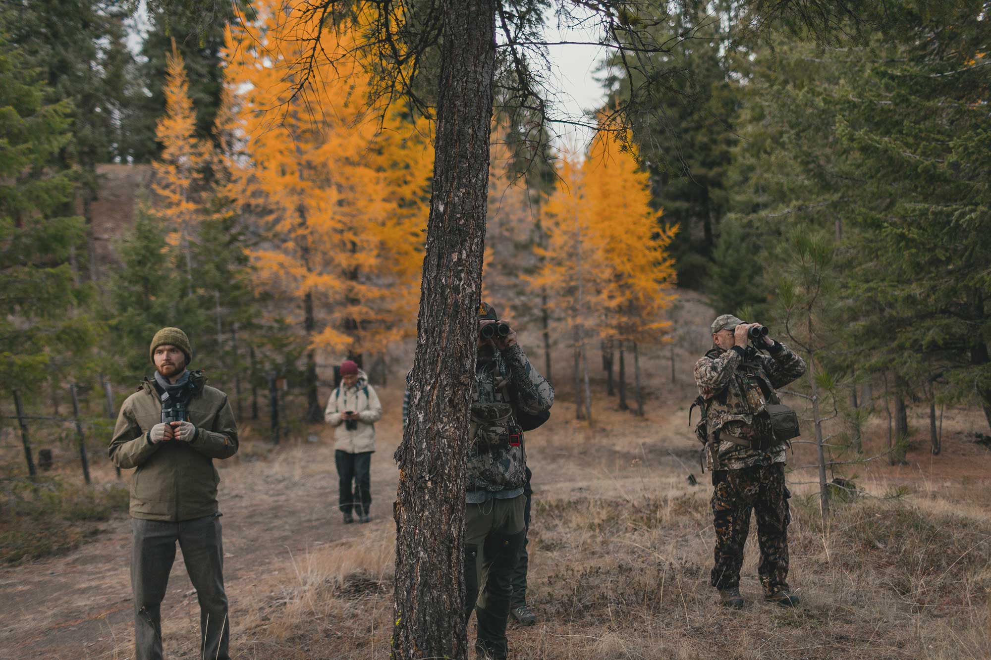 Hunter Field Skills Workshop