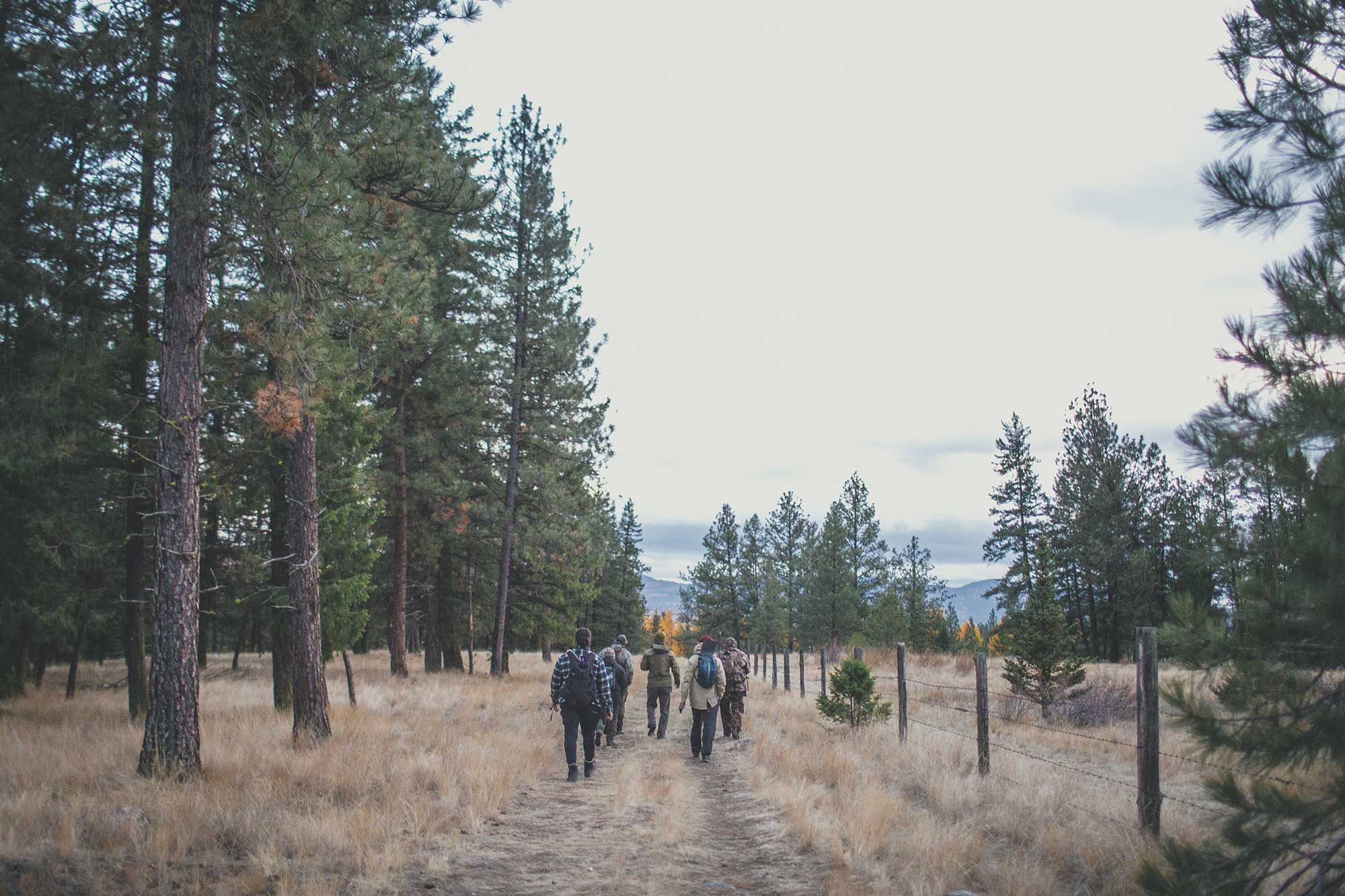 Hunter Field Skills Workshop