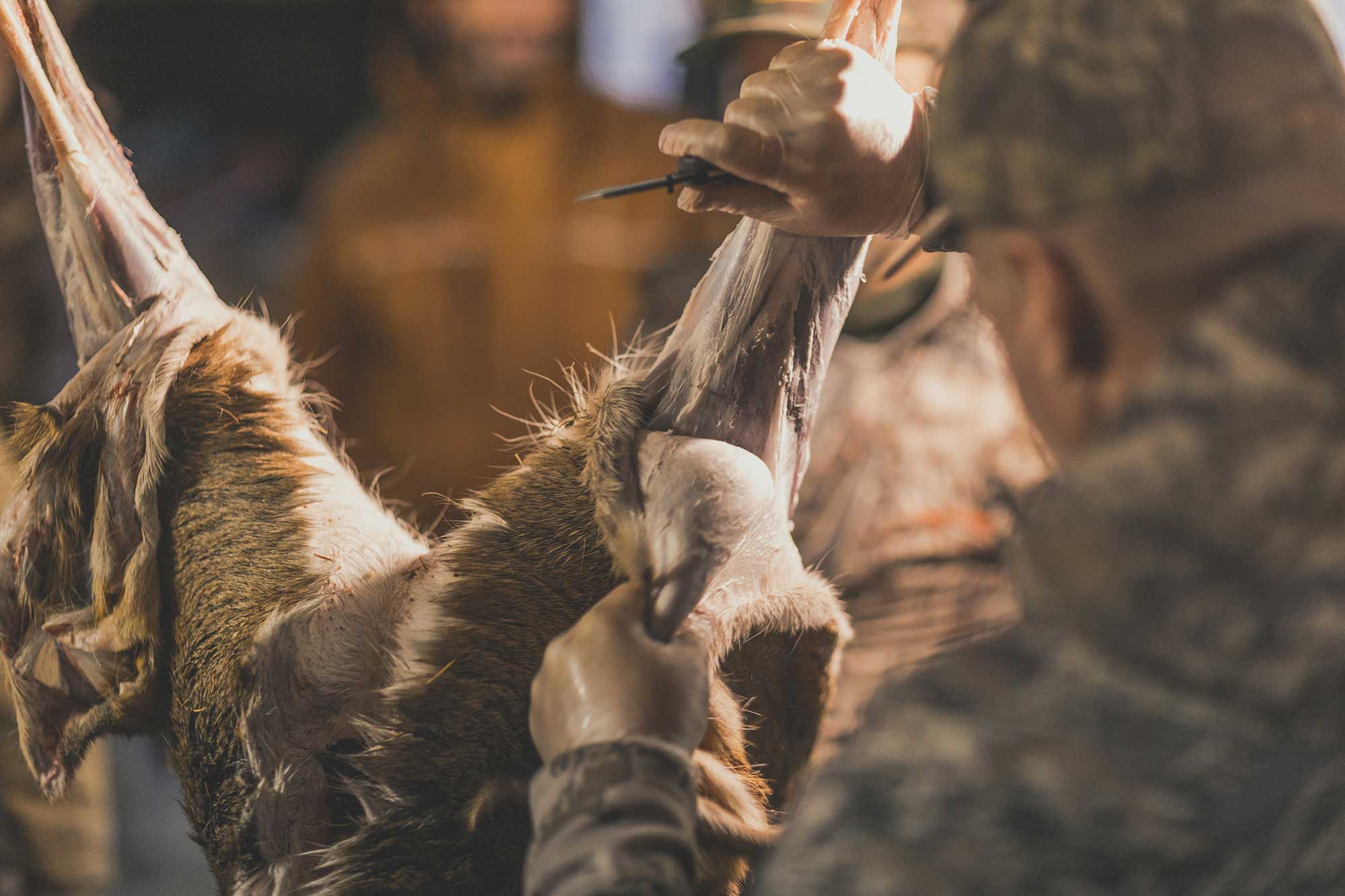 Hunter Field Skills Workshop