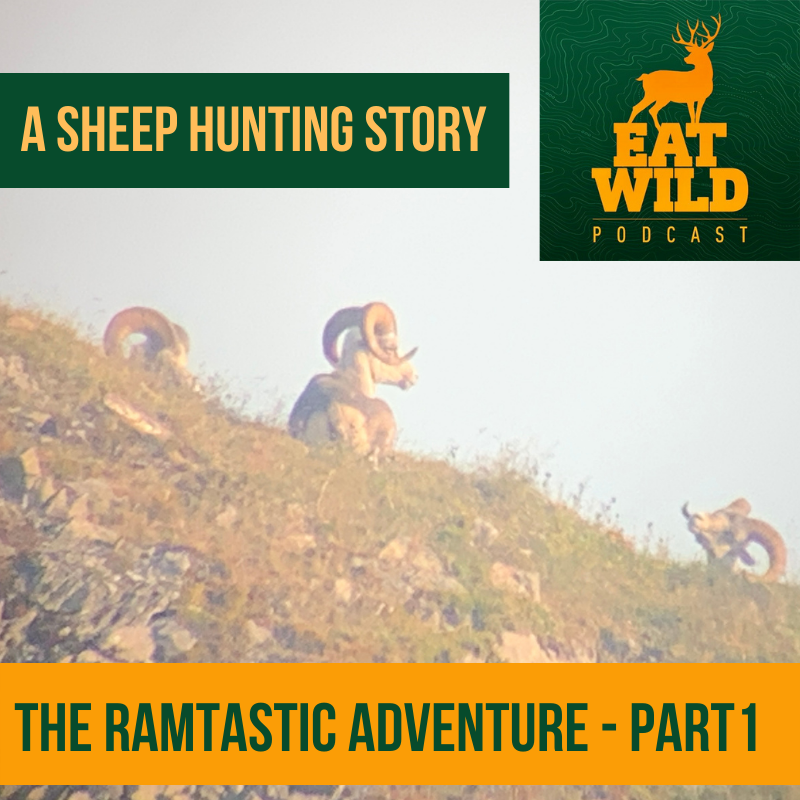 EatWild 57 - The Ramtastic Adventure Part 1 - A sheep hunting story