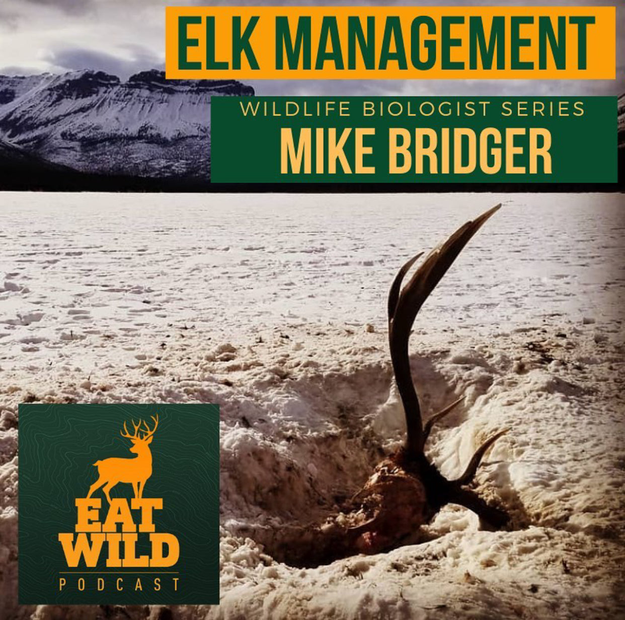EatWild 55 - Elk Management with Mike Bridger - Wildlife biologist series