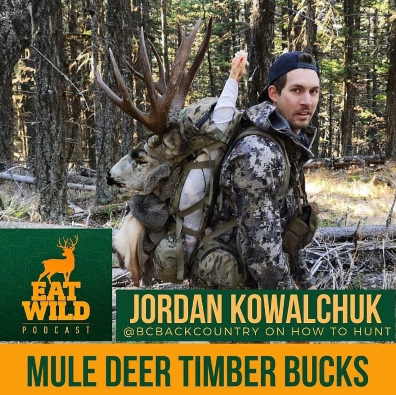 Timber Buck Maple EatWild 81 - How to Hunt Mule Deer Timber Bucks - With Jordan Kowalchu