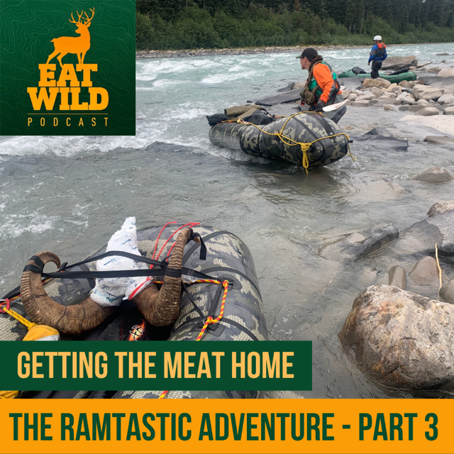 EatWild 59 - The Ramtastic Adventure Part 3 - Getting the meat home