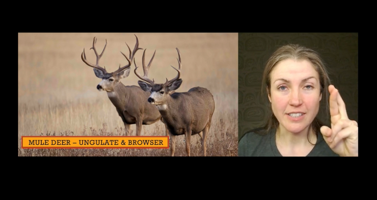 CORE Online - British Columbia Hunter Safety Course – EatWild