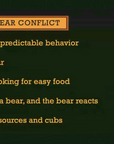 Bear Safety on the Hunt - How to avoid bear encounters while hunting and foraging