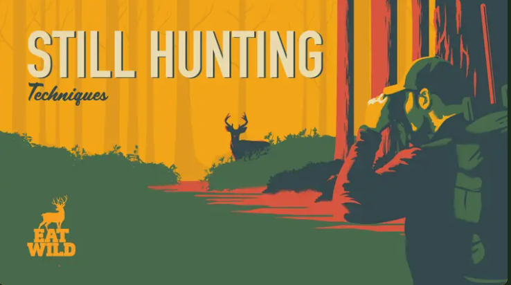 Still Hunting Techniques - How to hunt timber